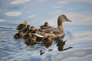 Großfamilie