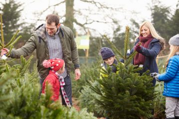 Weihnachten Patchworkfamilie