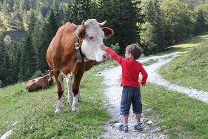 Familienwanderung