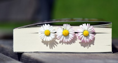 Bücher Corona